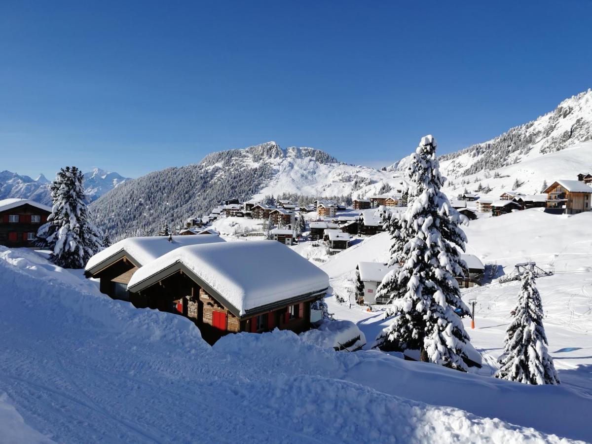 Chalet Enzian Riederalp Esterno foto