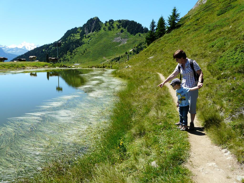Chalet Enzian Riederalp Esterno foto