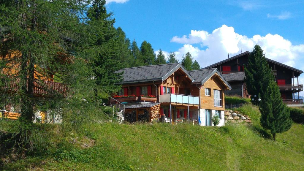 Chalet Enzian Riederalp Esterno foto