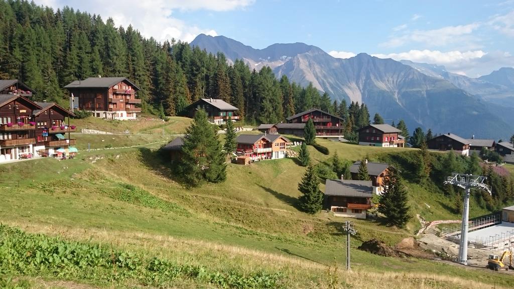 Chalet Enzian Riederalp Esterno foto
