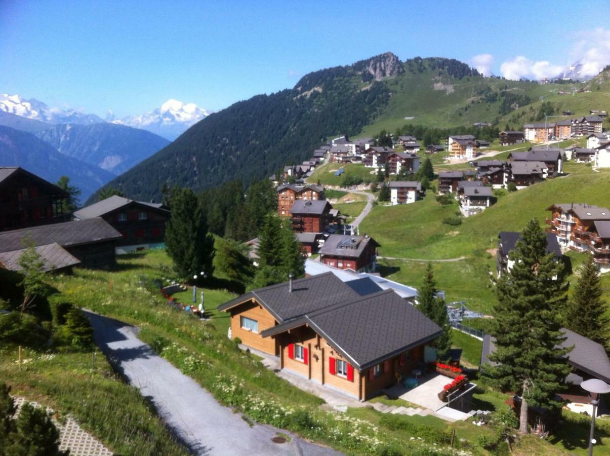 Chalet Enzian Riederalp Esterno foto
